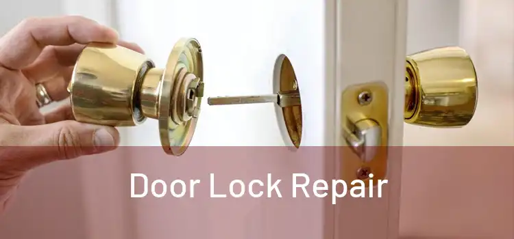 Door Lock Repair